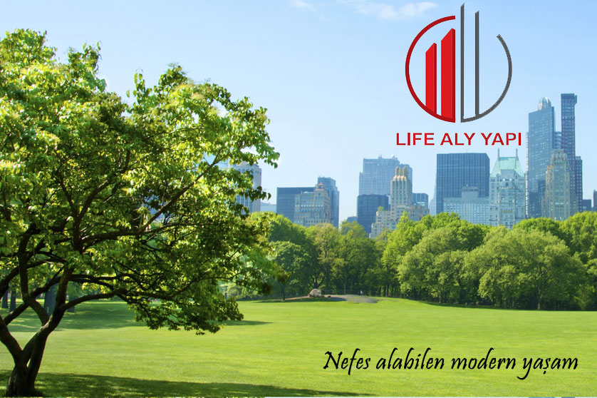 Life Aly Yapı Hakkında